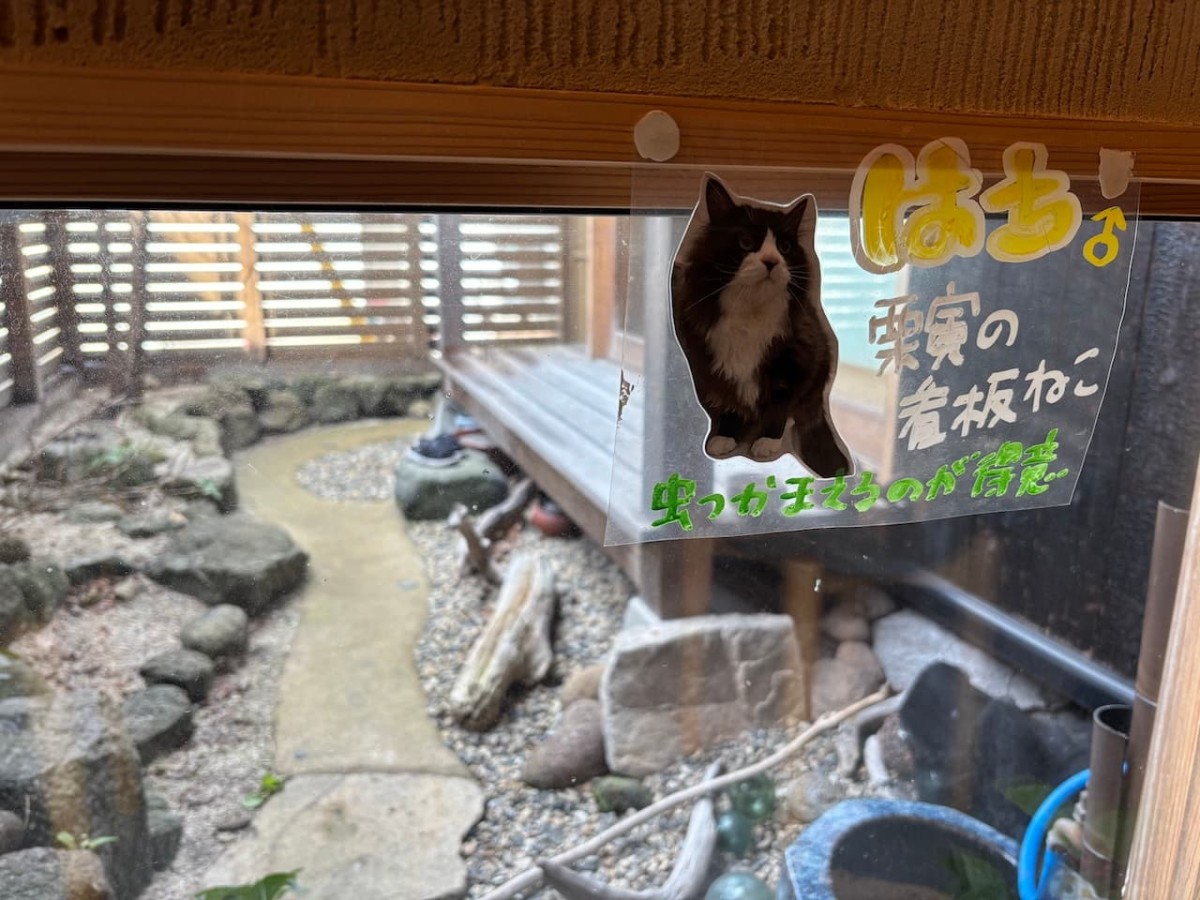 大田市の『栗寅』の内観