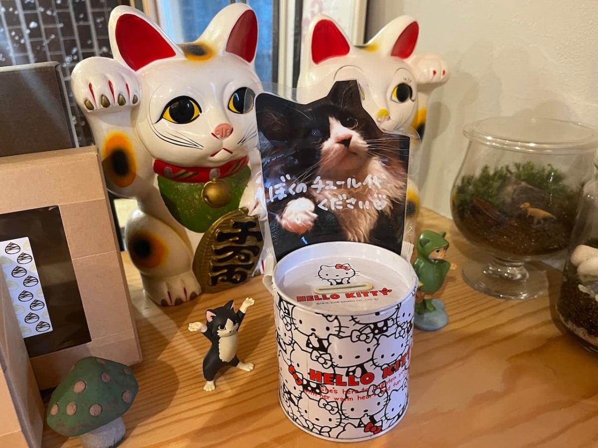 大田市の『栗寅』の看板猫のチュール募金