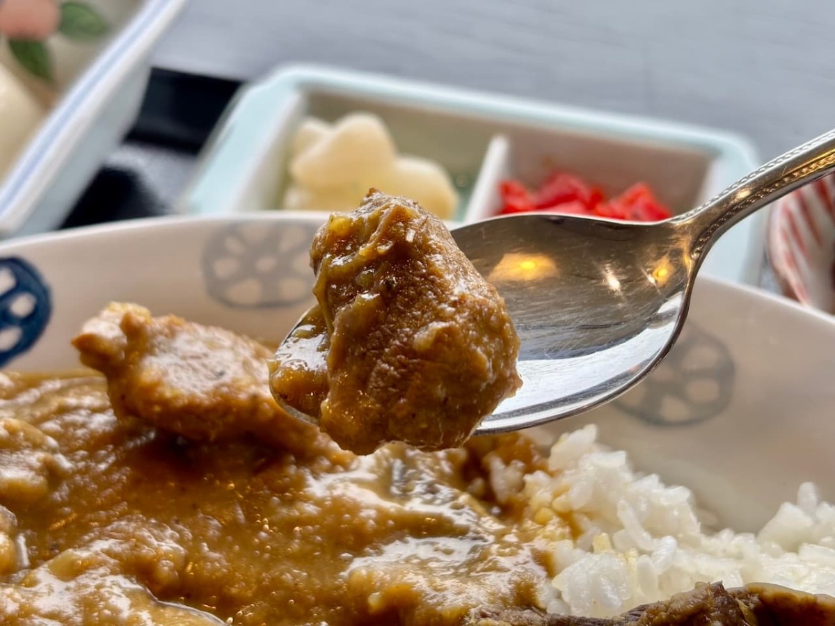 島根県邑智郡の『たまりば邑』の「華麗なルー定食」の猪肉。