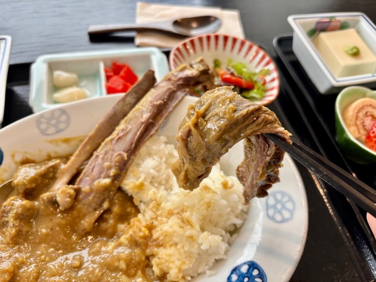 島根県邑智郡の『たまりば邑』の「華麗なルー定食」に入っているシカのスペアリブ。
