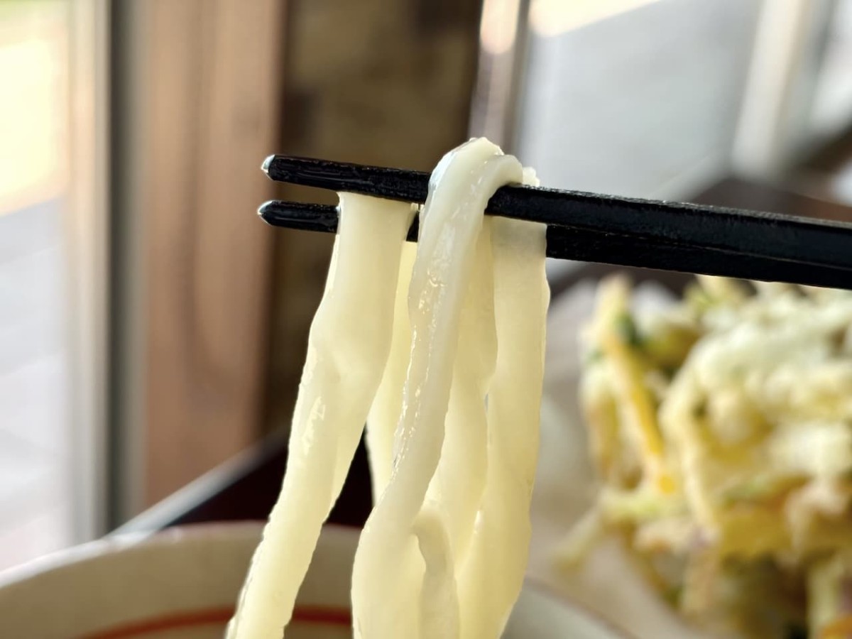 島根県出雲市の『創作料理レストランみつばち』のうどん。