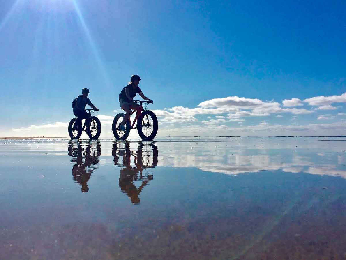 鳥取 市 自転車