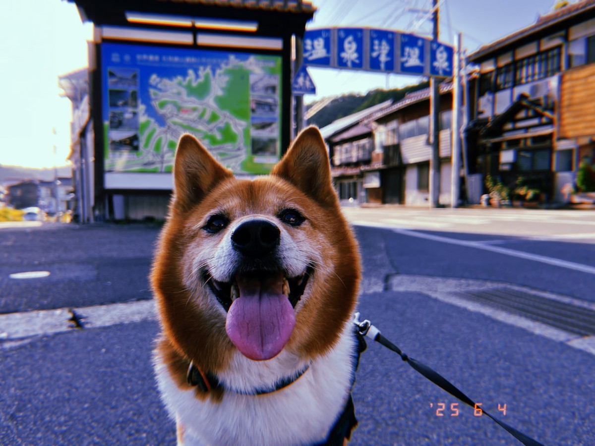 島根県大田市温泉津町の温泉津駅前