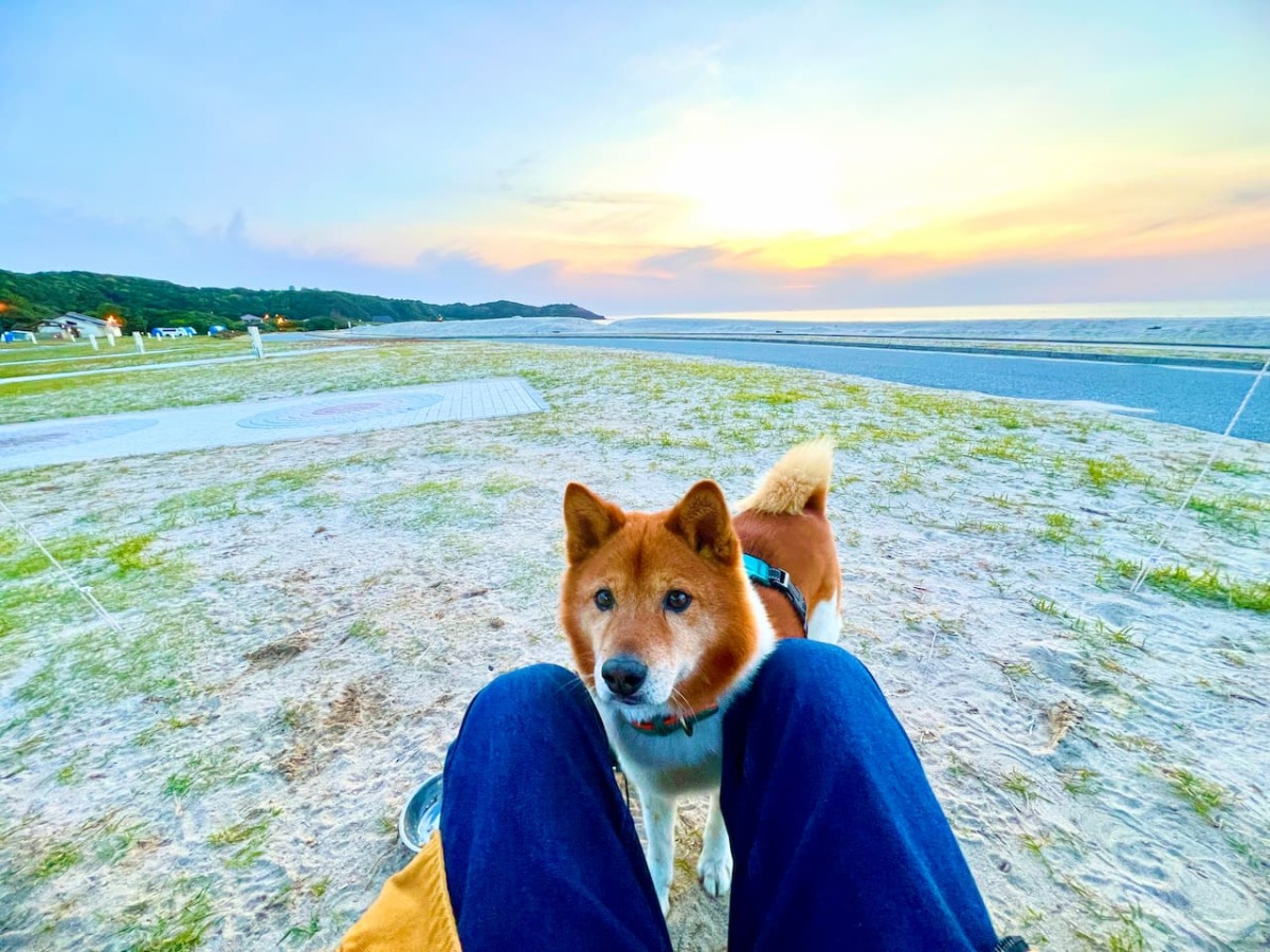 島根県浜田市にある『石見海浜公園オートキャンプ場』での愛犬との宿泊風景