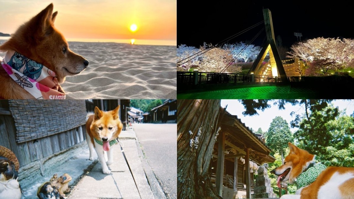 大田市にある石見銀山、サンドミュージアム、琴ヶ浜の画像