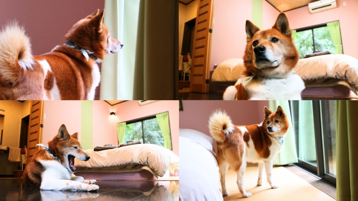 仁摩町にある湯迫温泉旅館の室内