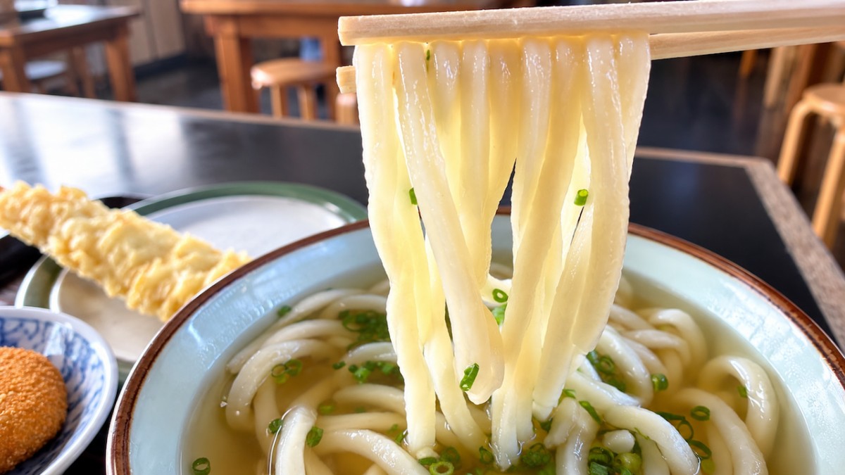 大田市にある『うどん処おおだ』のうどん「ひやあつ」