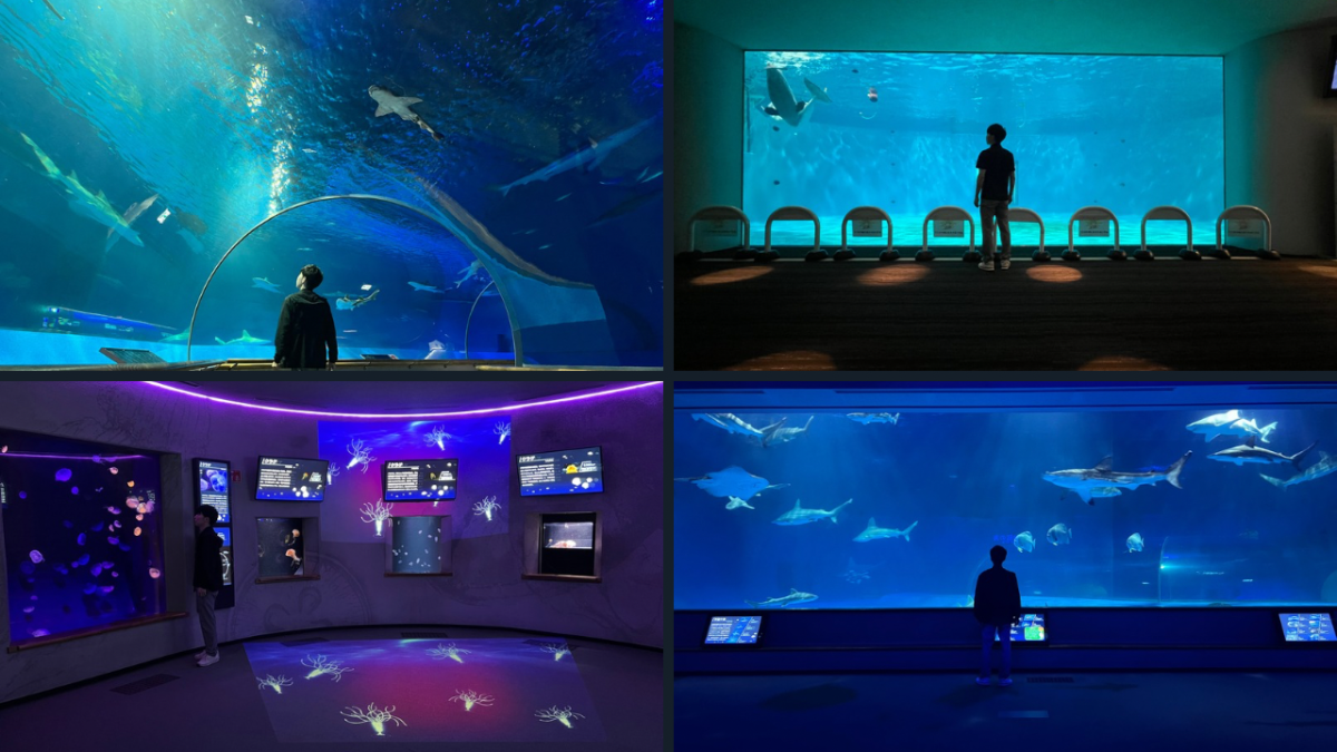 島根県浜田市にある水族館『アクアス』の施設内