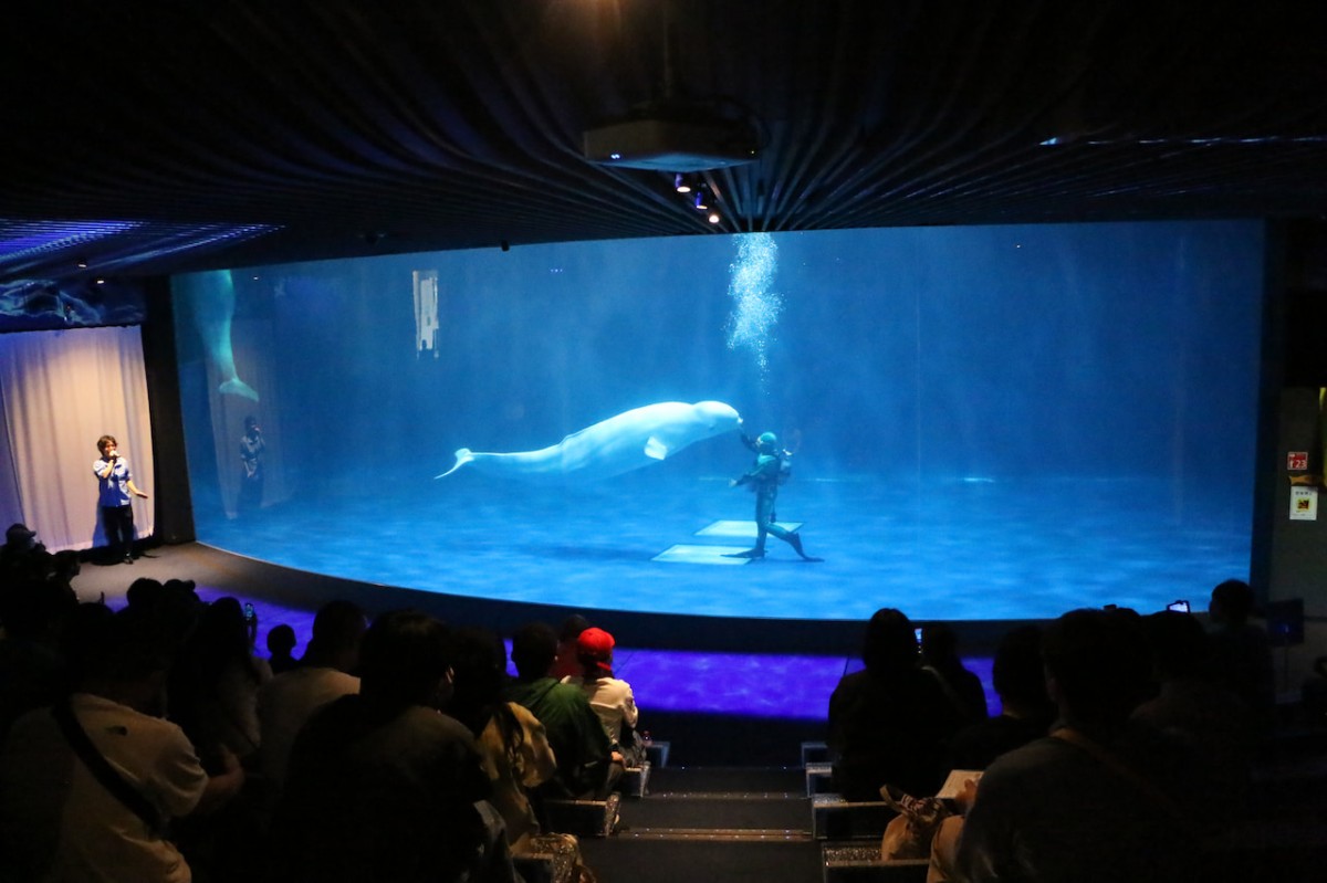 島根県浜田市にある水族館『アクアス』の施設内