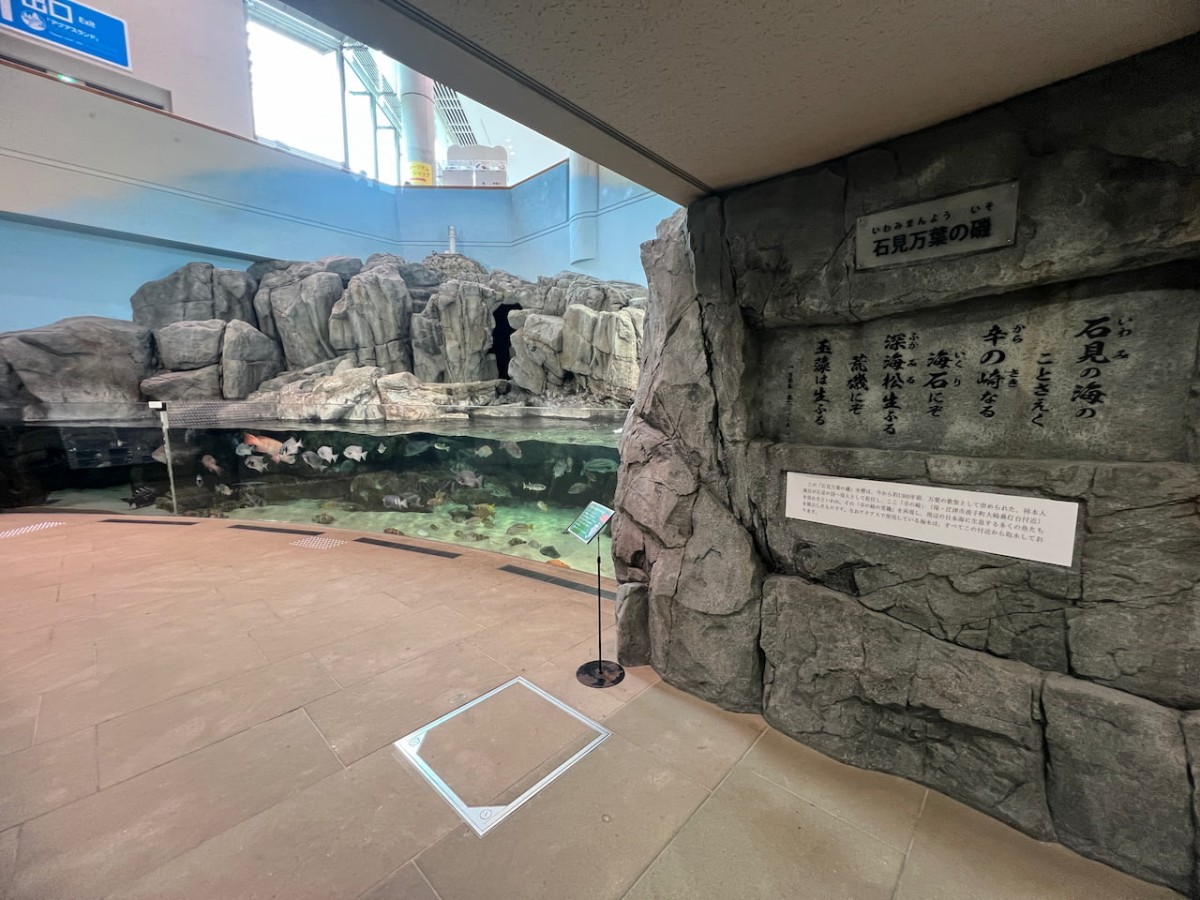 島根県浜田市にある水族館『アクアス』万葉の海ゾーン