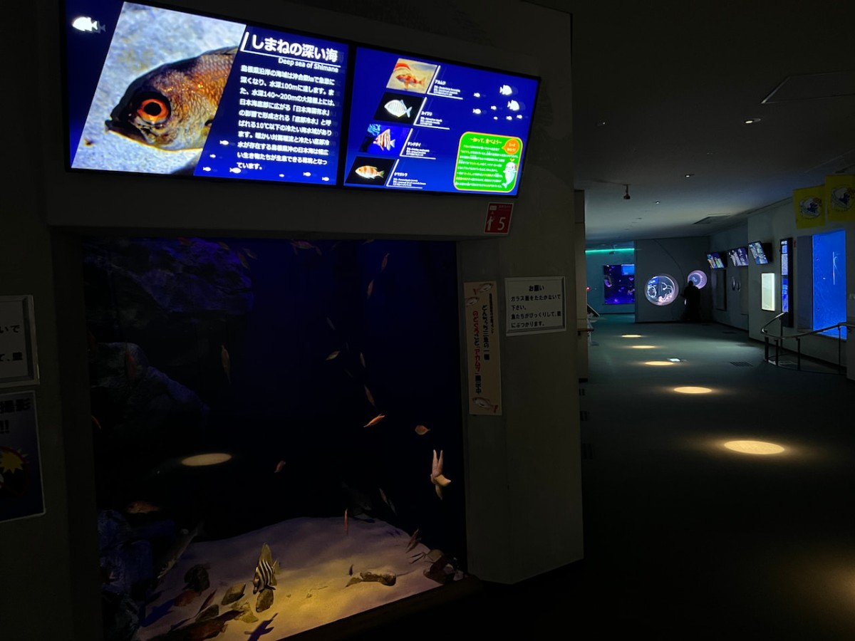 島根県浜田市にある水族館『アクアス』神話の海ゾーン　深海生物