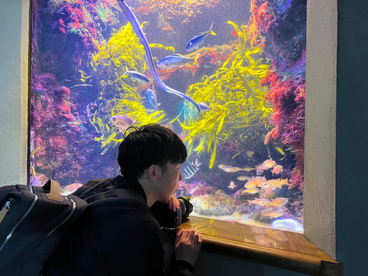 島根県浜田市にある水族館『アクアス』神話の海ゾーン