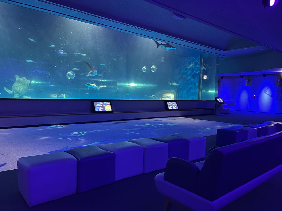 島根県浜田市にある水族館『アクアス』神話の海ゾーン　大水槽前