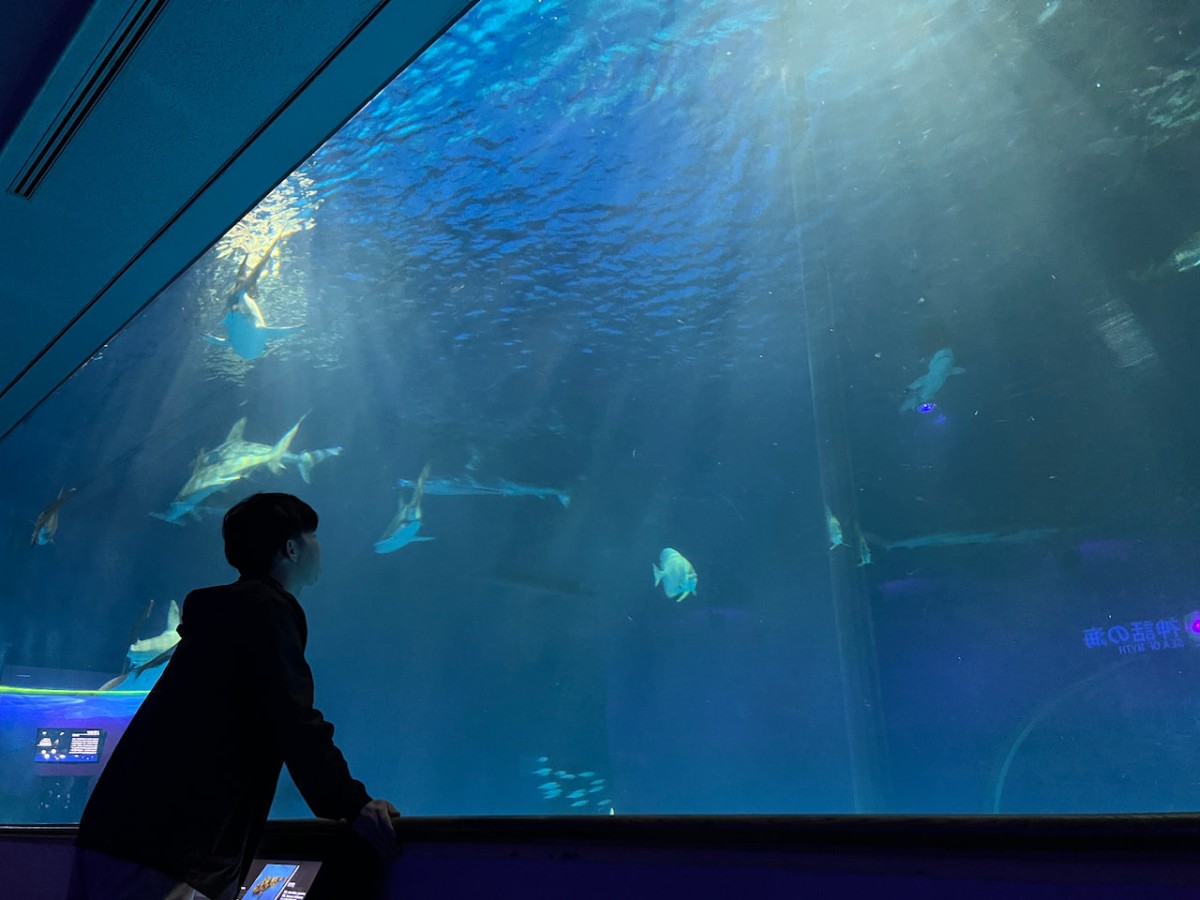 島根県浜田市にある水族館『アクアス』神話の海ゾーン　大水槽前