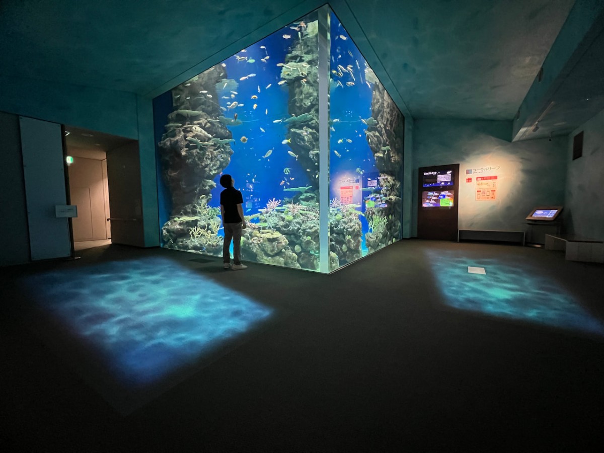 島根県浜田市にある水族館『アクアス』コーラルリーフ