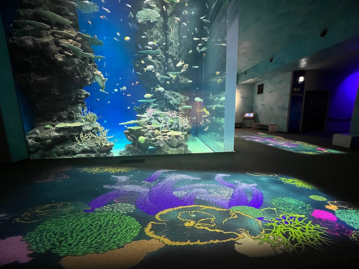島根県浜田市にある水族館『アクアス』コーラルリーフ