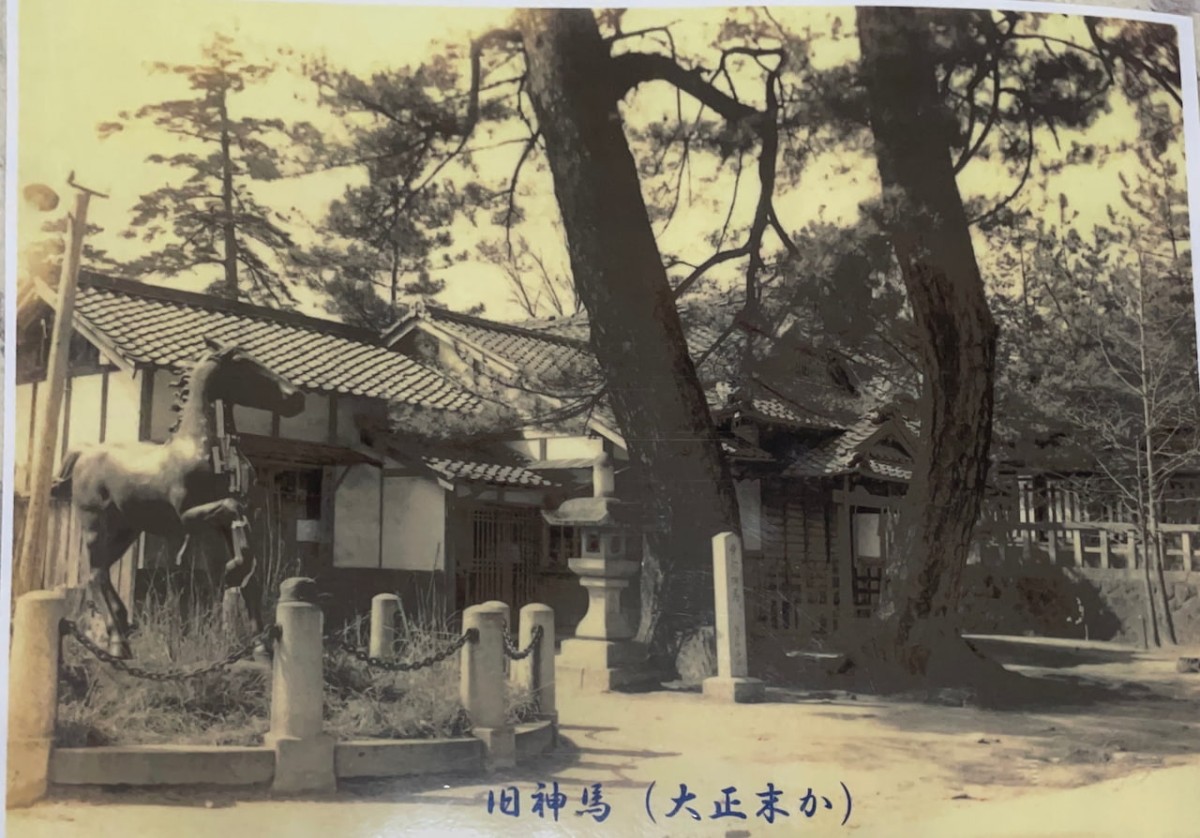 大正時代の勝田神社の旧神馬　米子市