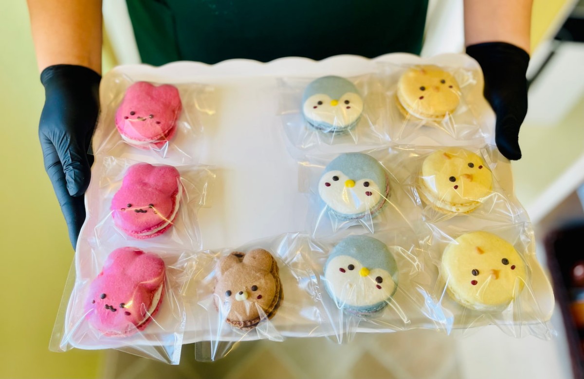 西伯郡南部町にあるケーキ屋ふるーるのマカロン