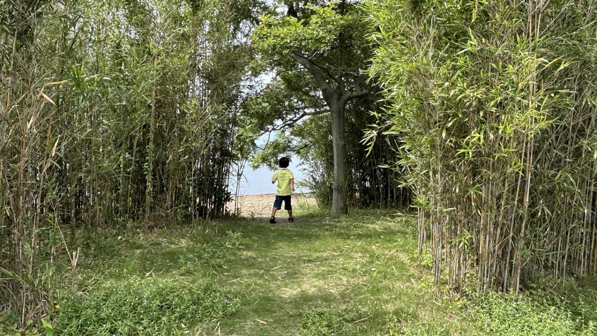 島根県松江市岡本町にある『道の駅 秋鹿なぎさ公園』竹のトンネル