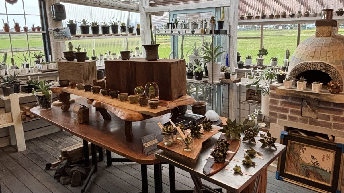 島根県出雲市知井宮町の植物販売店『GLOBAL GOOD GARDEN』の店内