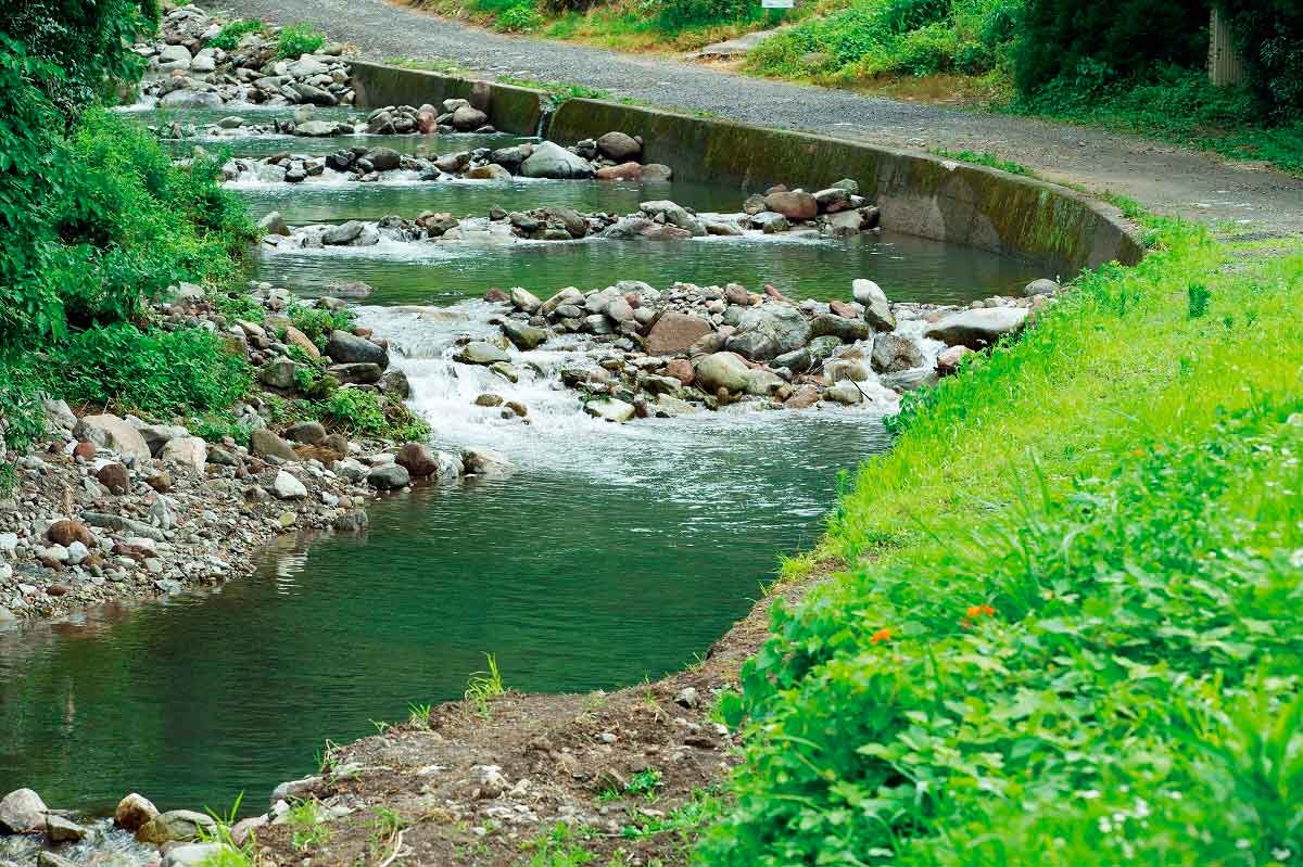 鳥取県倉吉市_川遊び_おすすめ_清流遊YOU村_魚のつかみ取り_人気