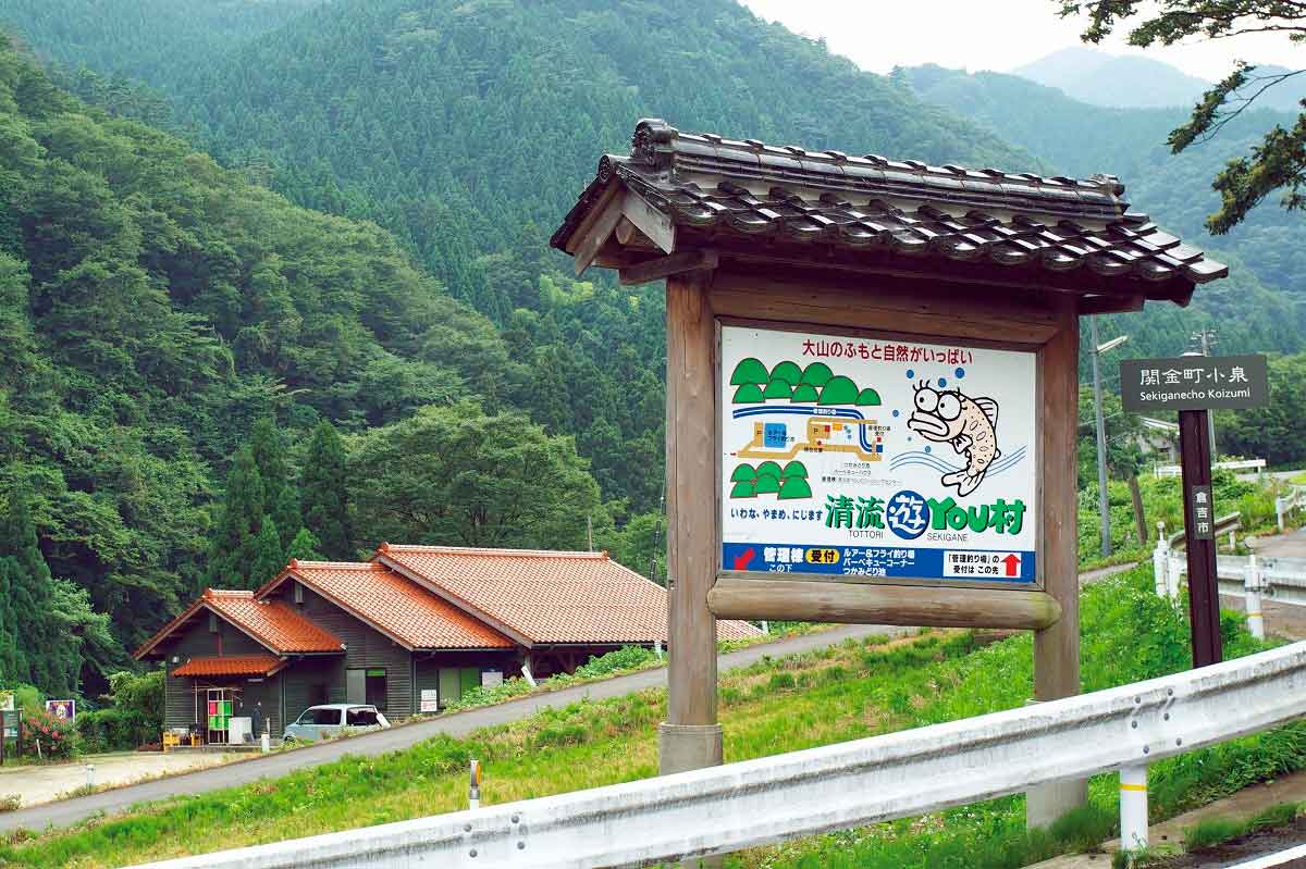 鳥取県倉吉市_川遊び_おすすめ_清流遊YOU村_魚のつかみ取り_人気