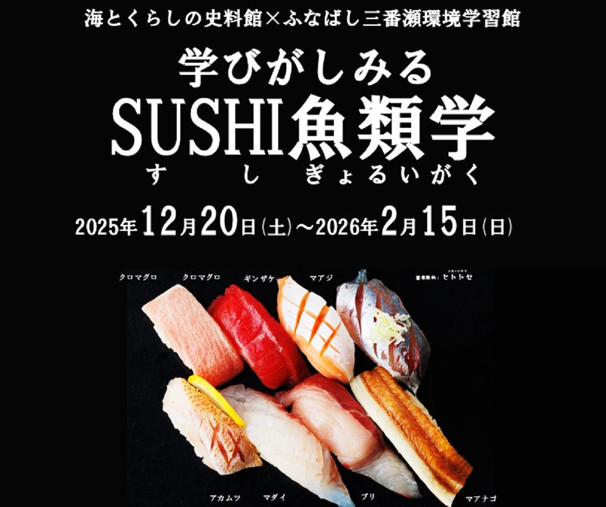 画像がありません