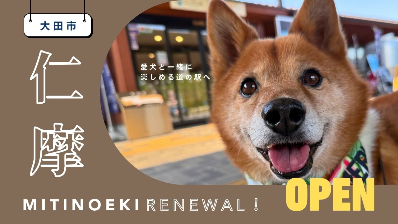 画像がありません
