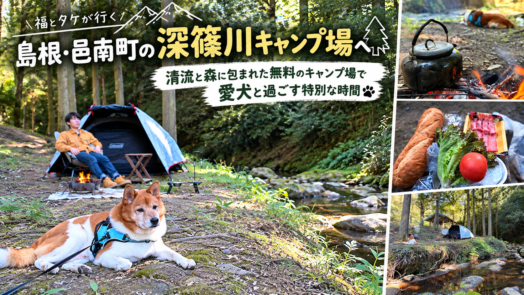 画像がありません