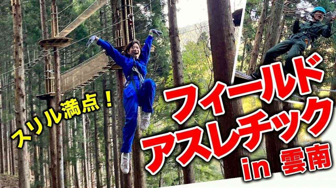 画像がありません