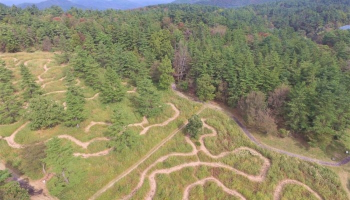 ススキの迷路 島根県大田市 の開催情報 日刊lazuda ラズダ 島根 鳥取を知る 見る 食べる 遊ぶ 暮らすwebマガジン