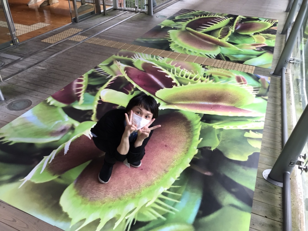 食虫植物展 鳥取県西伯郡 の開催情報 日刊lazuda ラズダ 島根 鳥取を知る 見る 食べる 遊ぶ 暮らすwebマガジン