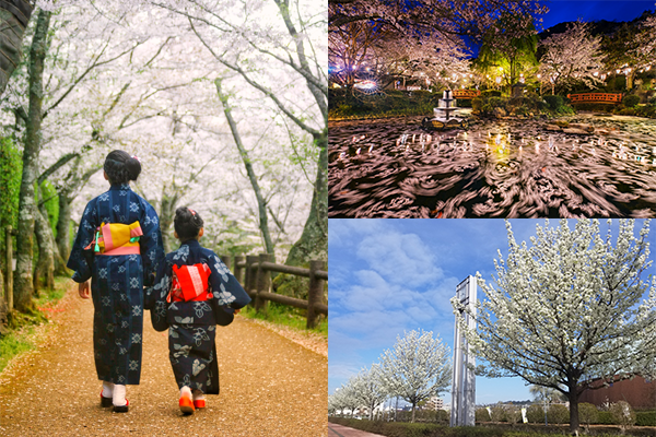 ちょっと見てぇな 倉吉の魅力を伝えたいフォトコンテスト 21春 鳥取県倉吉市 の開催情報 日刊lazuda ラズダ 島根 鳥取 を知る 見る 食べる 遊ぶ 暮らすwebマガジン ちょっと見てぇな 倉吉の魅力を伝えたいフォトコンテスト 21春 鳥取県倉吉市 の開催情報 日刊lazuda ラズダ 島根 鳥取 を知る 見る 食べる 遊ぶ 暮らすwebマガジン