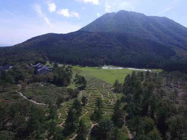ススキの迷路 島根県大田市 の開催情報 日刊lazuda ラズダ 島根 鳥取を知る 見る 食べる 遊ぶ 暮らすwebマガジン