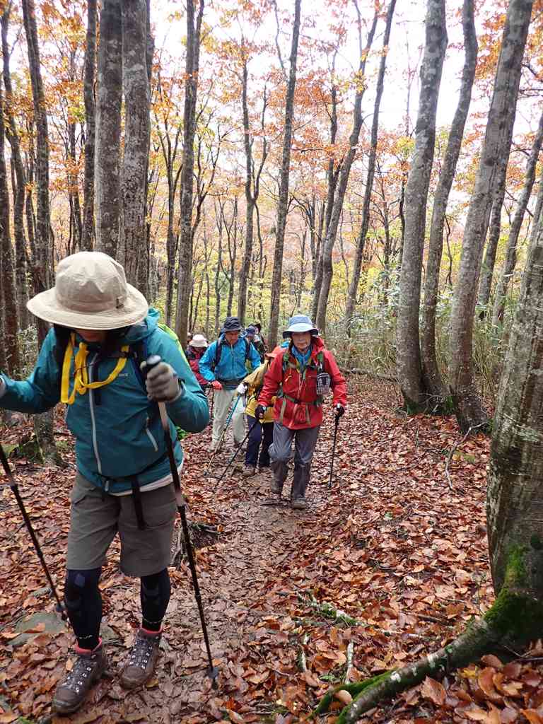 要予約 紅葉の扇ノ山登山 河合谷コース往復 鳥取県鳥取市 の開催情報 日刊lazuda ラズダ 島根 鳥取 を知る 見る 食べる 遊ぶ 暮らすwebマガジン